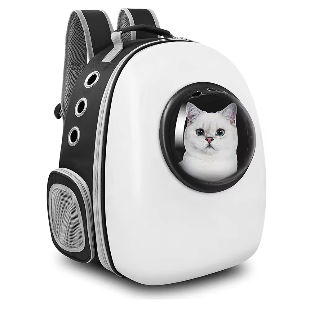 Pesanan Tas Seragam Sekolah 500 Buah, Yang Datang Malah Tas Kucing: 2 Hari Saya Menjelaskan ke Kepala Sekolah